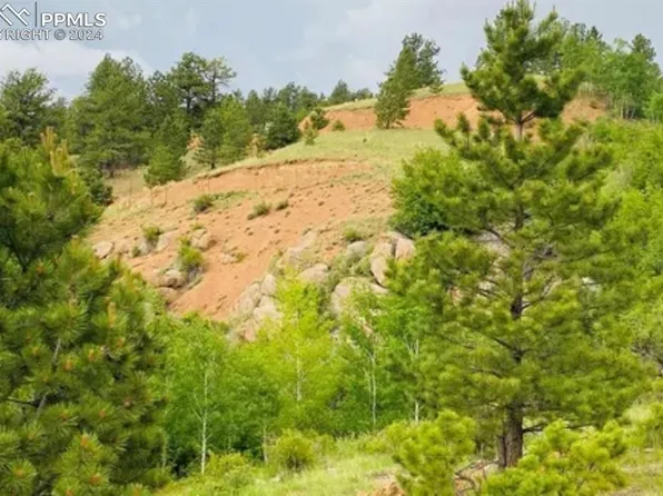 63 Wilson Way, Cripple Creek, CO 80813