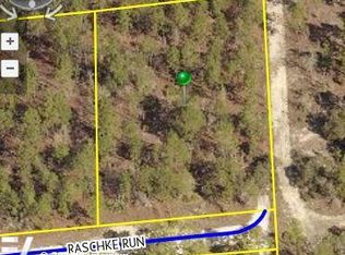 12090 Raschke Run, Weeki Wachee, FL 34614