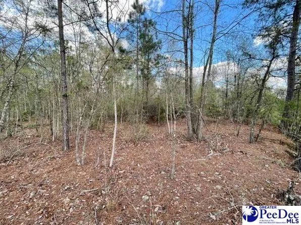 Us Highway 1/52 Truck Route Byp, Cheraw, SC 29520