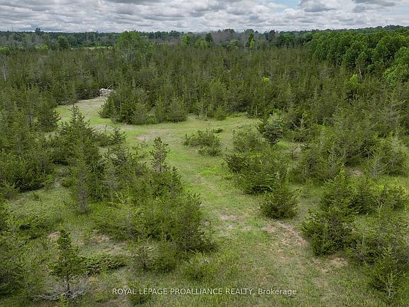 5th image of 89 Power Rd