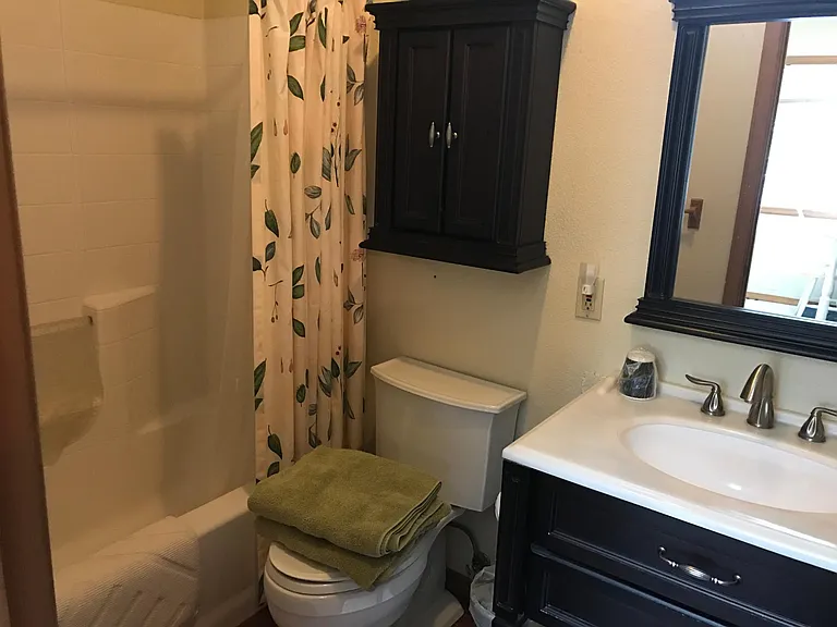 Private bathroom.