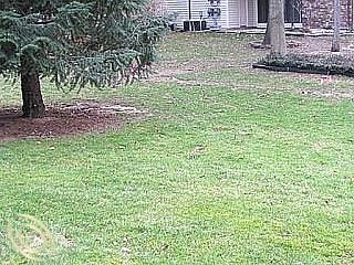 2nd image of 35821 Hunter Ave