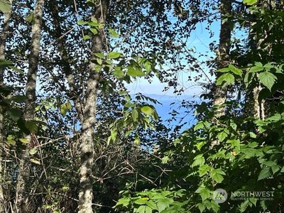 9999 Olallie Trail, Pt Angeles, WA, 98363