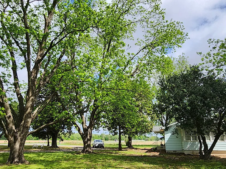 1303 State Highway 161 S — Photo 14
