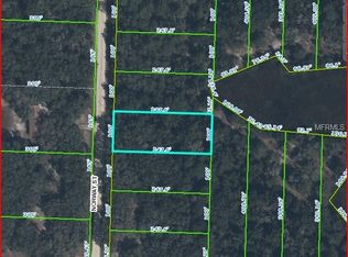 Norway St, Webster, FL 33597