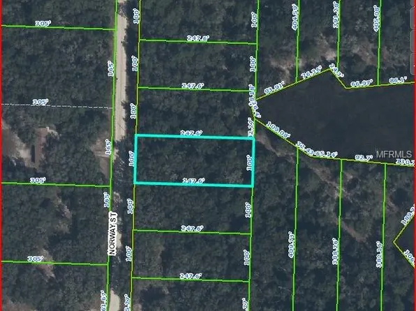 Norway St, Webster, FL 33597