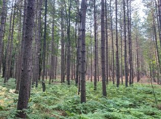 40 Puustinen Rd, Kaleva, MI 49645