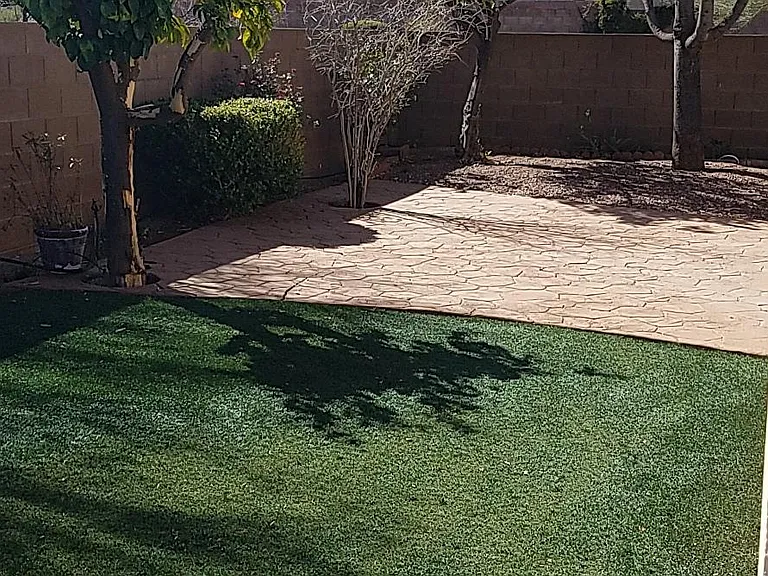 Backyard artificual turf
