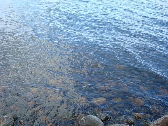 Lake bottom - no weeds here!