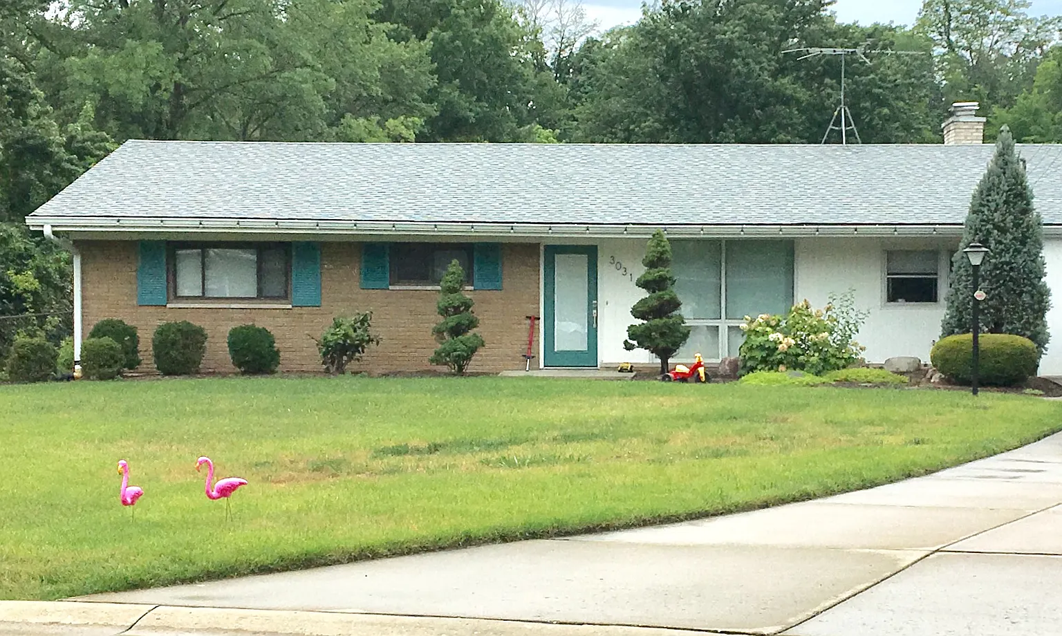 3031 Brookwood Cir photo 1