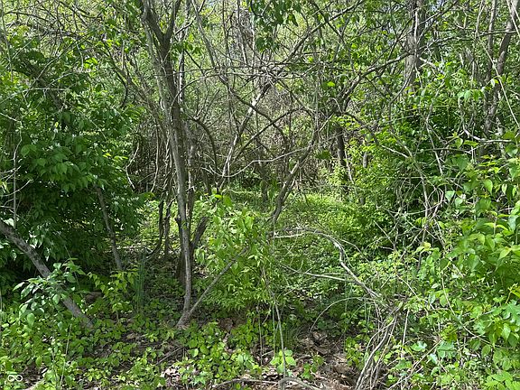 2nd image of 0 Nineveh Road