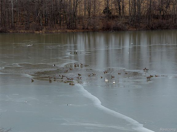 4th image of 0 Shay Lake Rd
