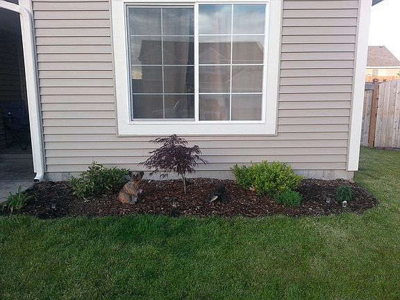 2nd image of 2621 Thrush Dr