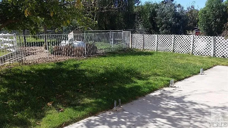 Back yard.