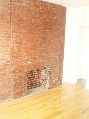 Rented by Rapid Realty Cobble Hill | media 29