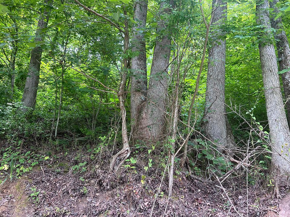 2nd image of 89 Branch Connector Rd