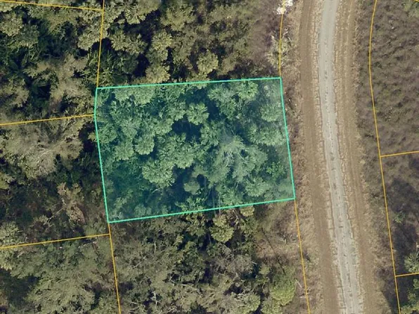 1147201317 Govan Rd Lot 17, North Pt, FL 34288