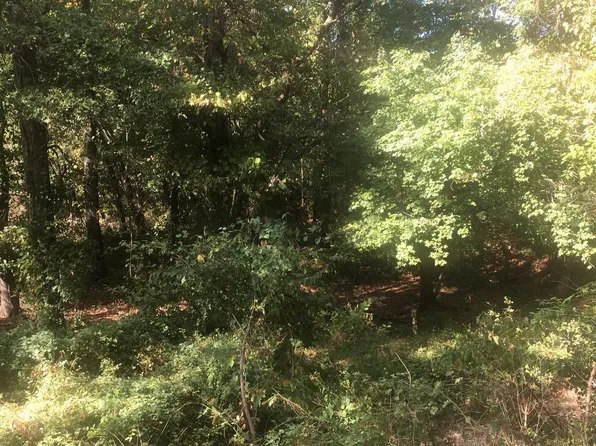 98 Treetop Way, Oakland, MD 21550