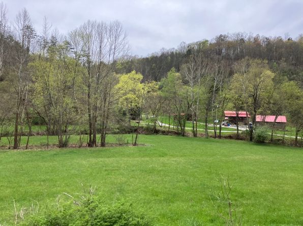 553 Straight Creek Rd, Munday, WV 26152