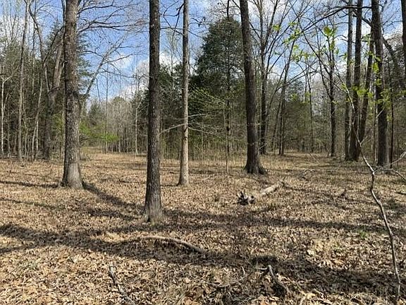 2nd image of 0 Milligan Campground Rd