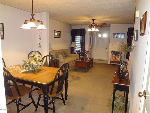 view from kitchen