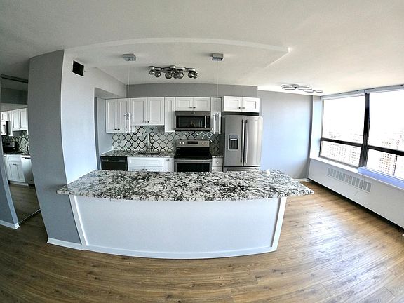 5th image of 1355 N Sandburg Ter APT 2906D