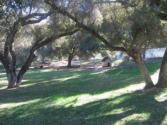 Over 60 oak trees on property.