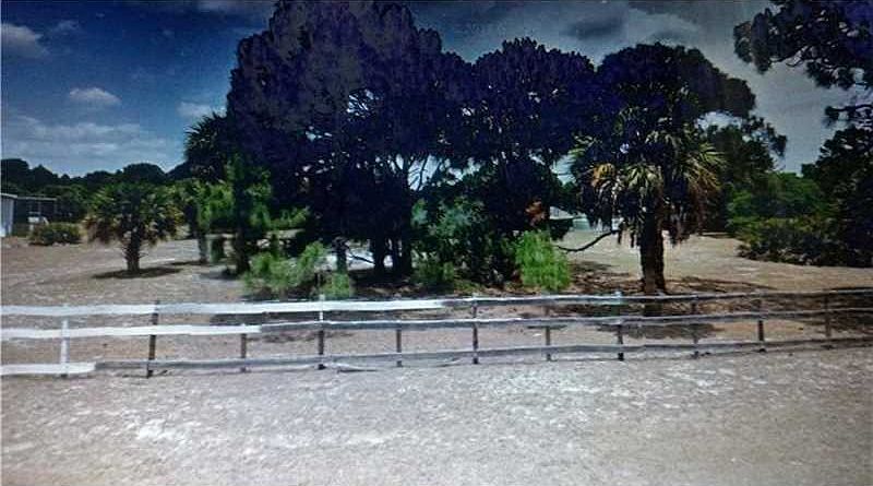 2nd image of 655 E Paso Fino Cir