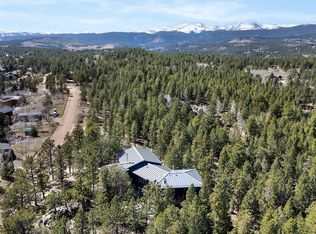 3725 Ridge Rd, Nederland, CO 80466