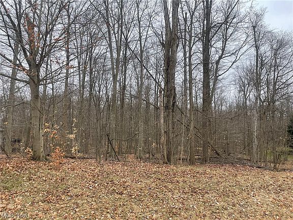 2nd image of 4116 Shurell Pkwy