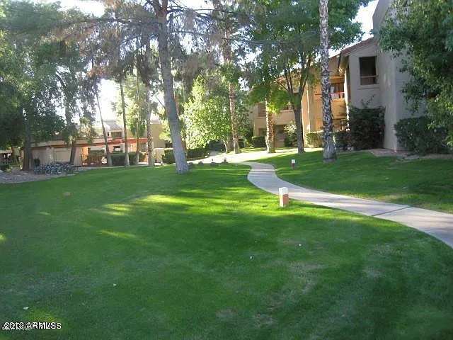 9275 E Mission Ln #218 — Photo 16