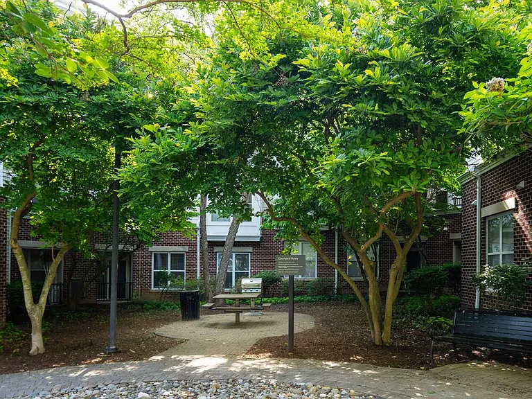 Courtyard with grill area