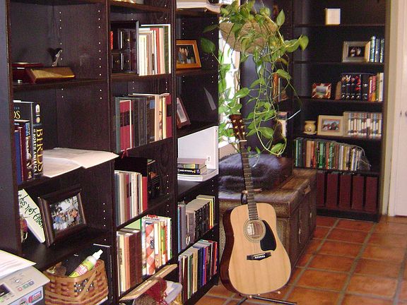 Den - shelves removed 