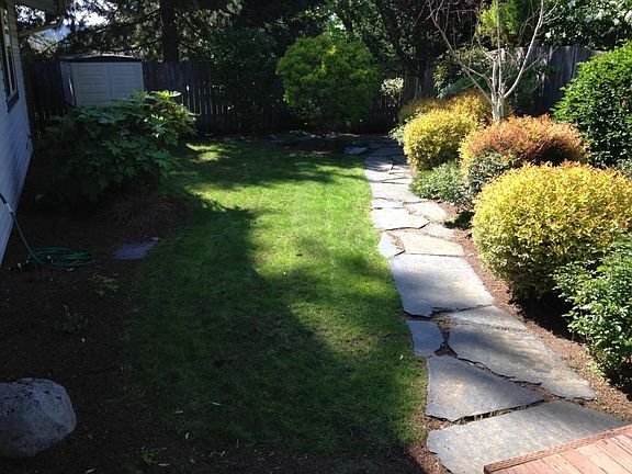 Back yard