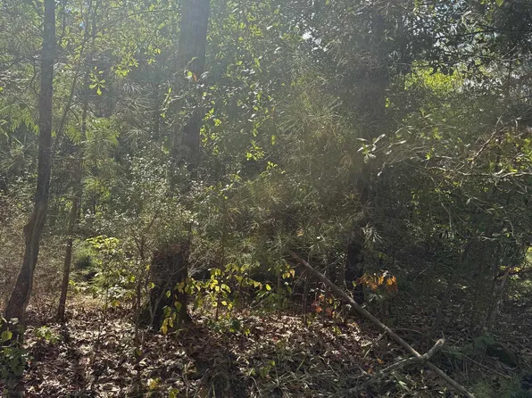 45 County Road 264, Wedowee, AL 36278