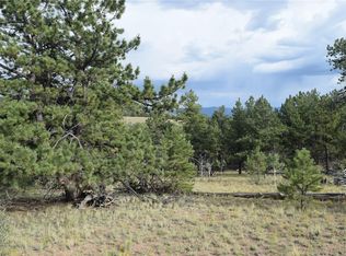 2487 Badger Creek Rd, Hartsel, CO 80449