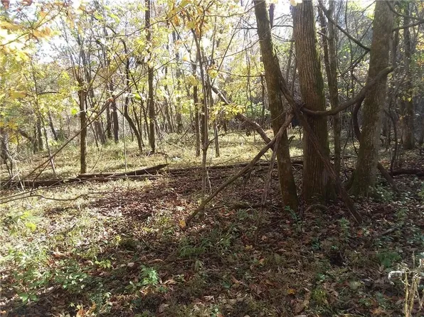 Esculapia Hollow Rd, Rogers, AR 72758