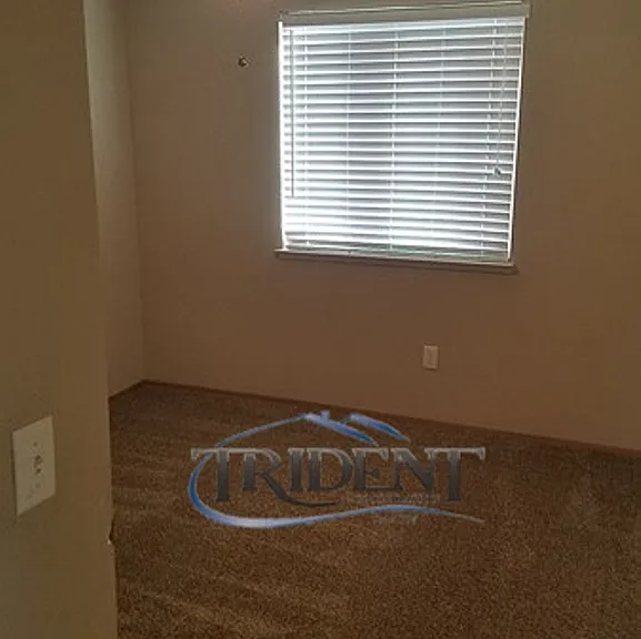 1019 Arbor Dr — Photo 11