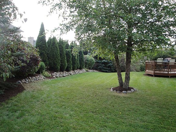 Large Open Backyard