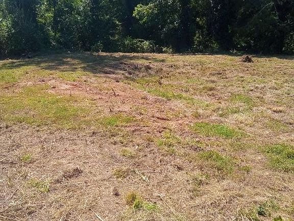 2nd image of 116 Starnes Cove Rd