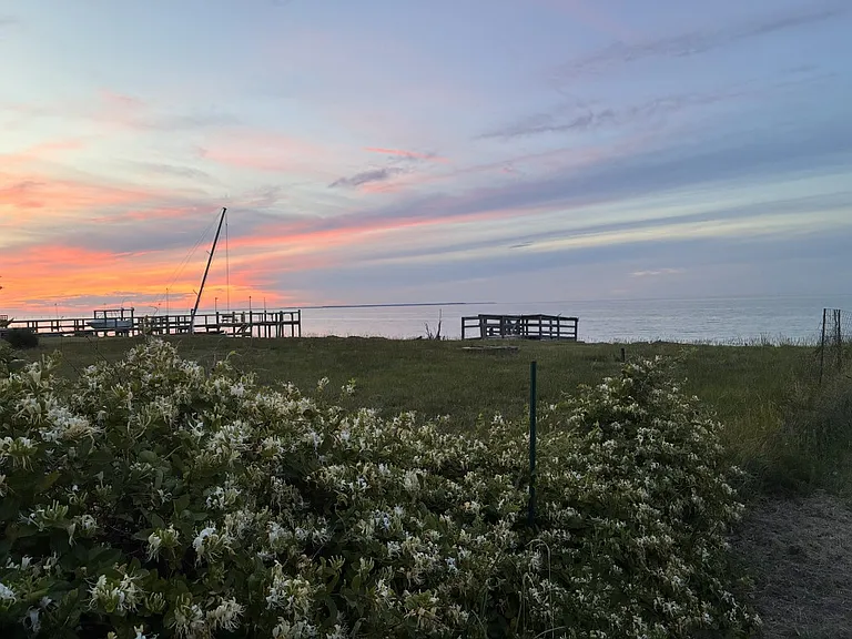 Honeysuckle and sunset as seen from porch area