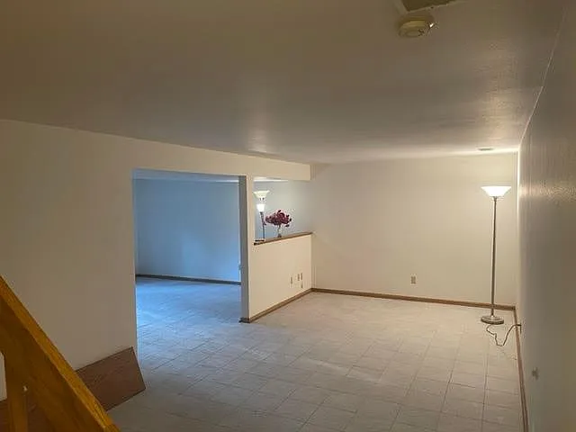 Basement_Picture1