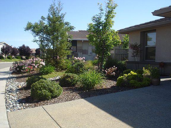 FRONT SIDE YARD
