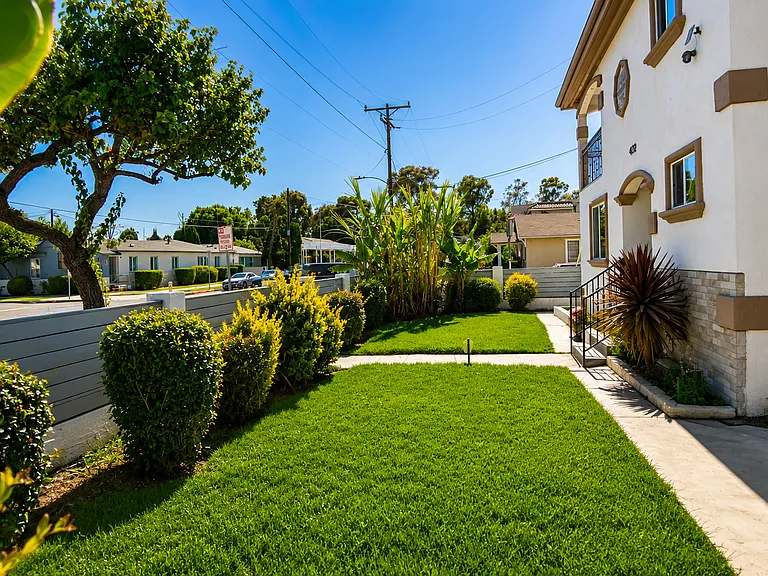 Front Yard