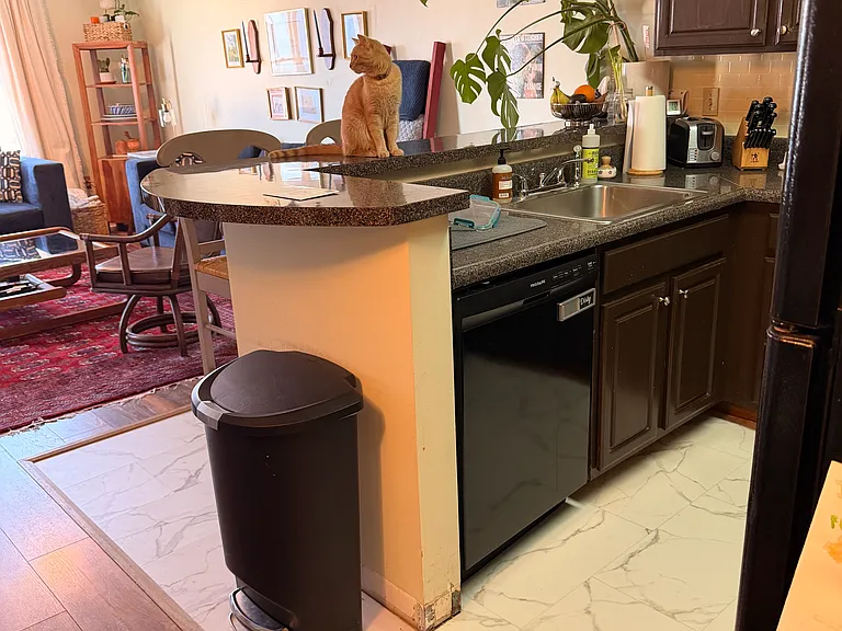 1517 Laurel Ave #207 — Photo 11