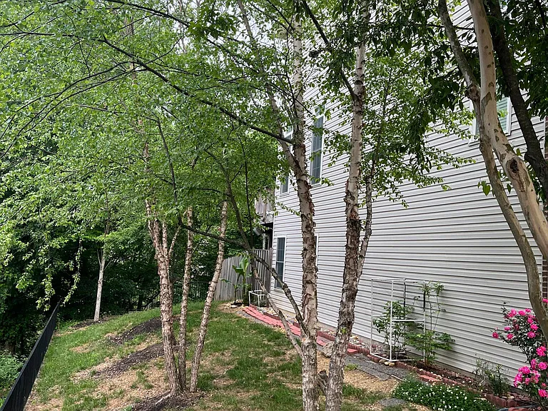 6098 Madison Park Dr — Photo 3