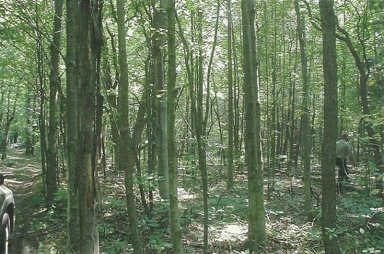 2nd image of Witts End
