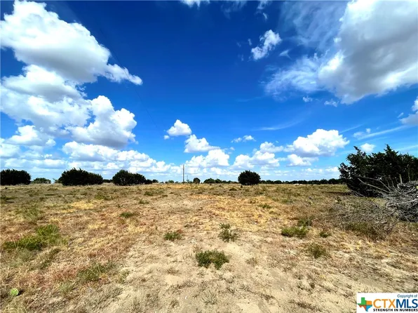 9868 County Road 210, Bertram, TX 78605