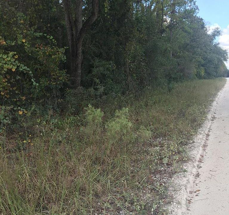 2nd image of Ne 316th Avenue