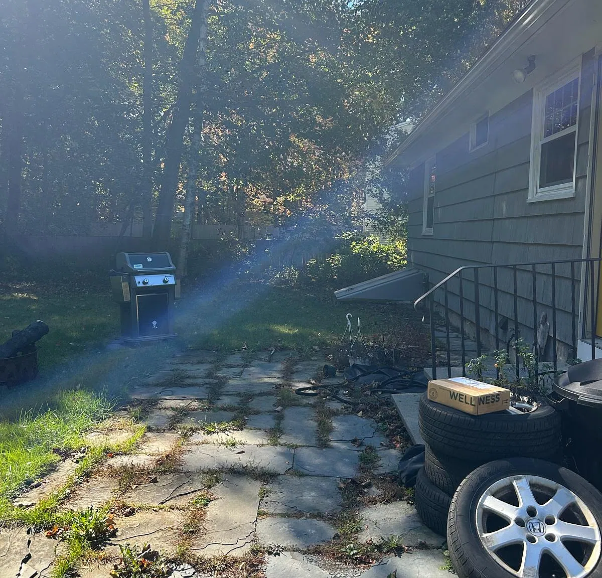 3 bed, 800 sqft, $2,600 — Photo 3